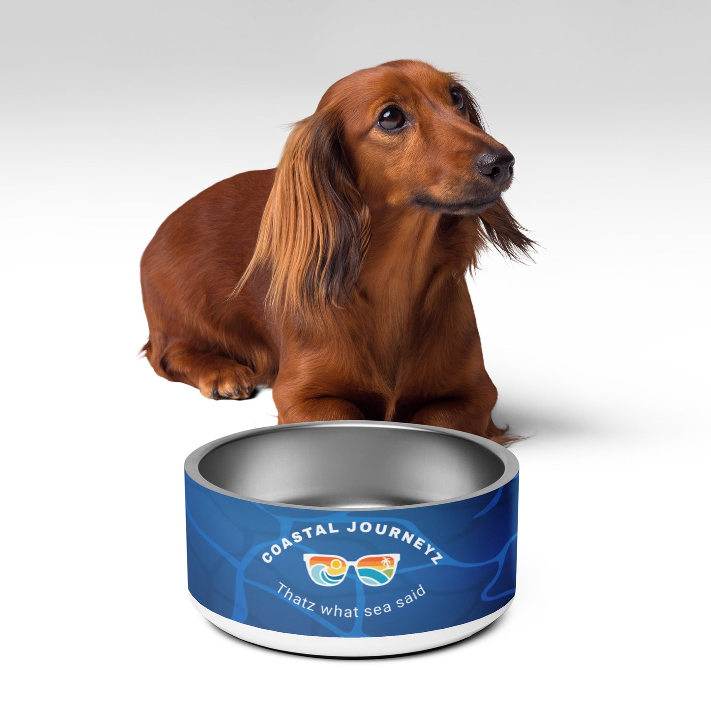 Ocean Blue Pet Bowl