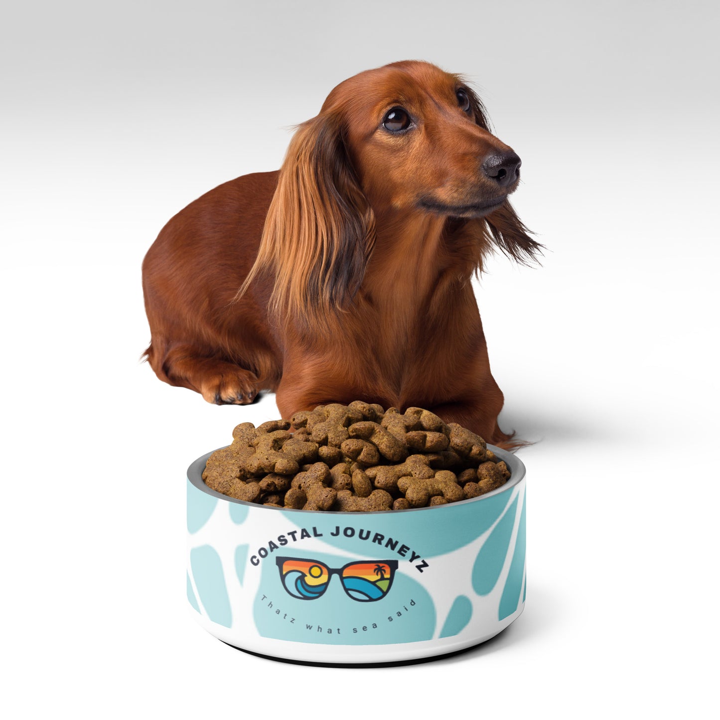 Coastal Journeyz Pet bowl for their beach vacations