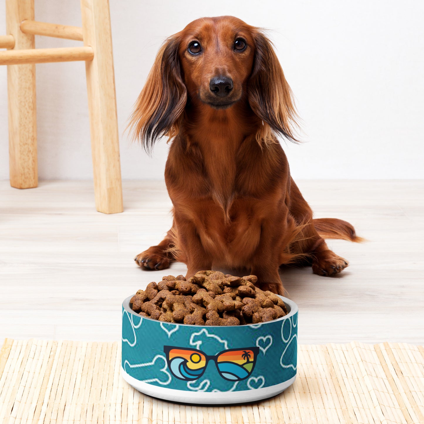 I'll be watching you with this Coastal Pet Bowl