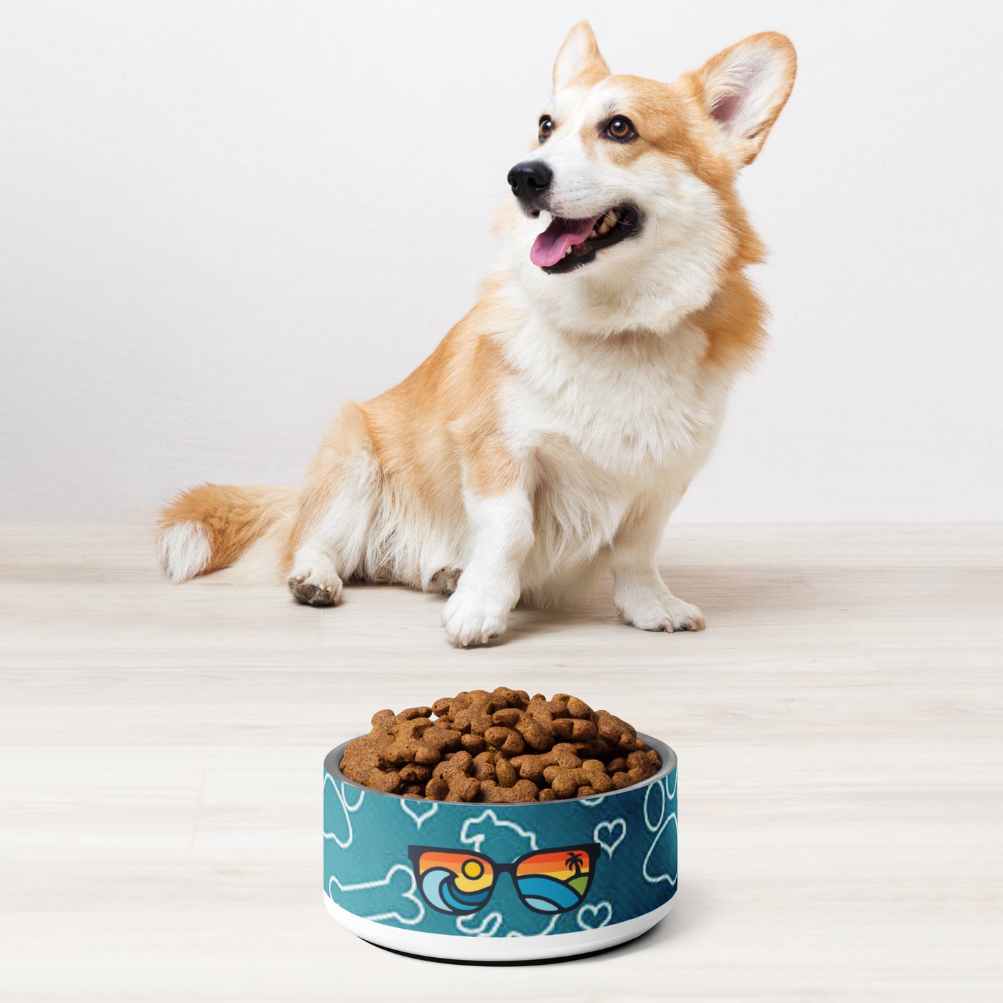 I'll be watching you with this Coastal Pet Bowl