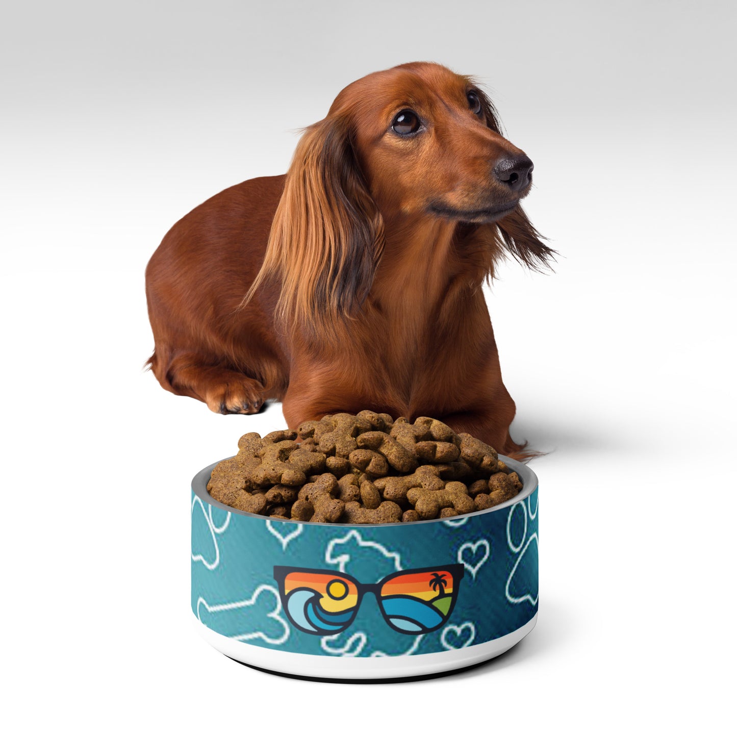 I'll be watching you with this Coastal Pet Bowl