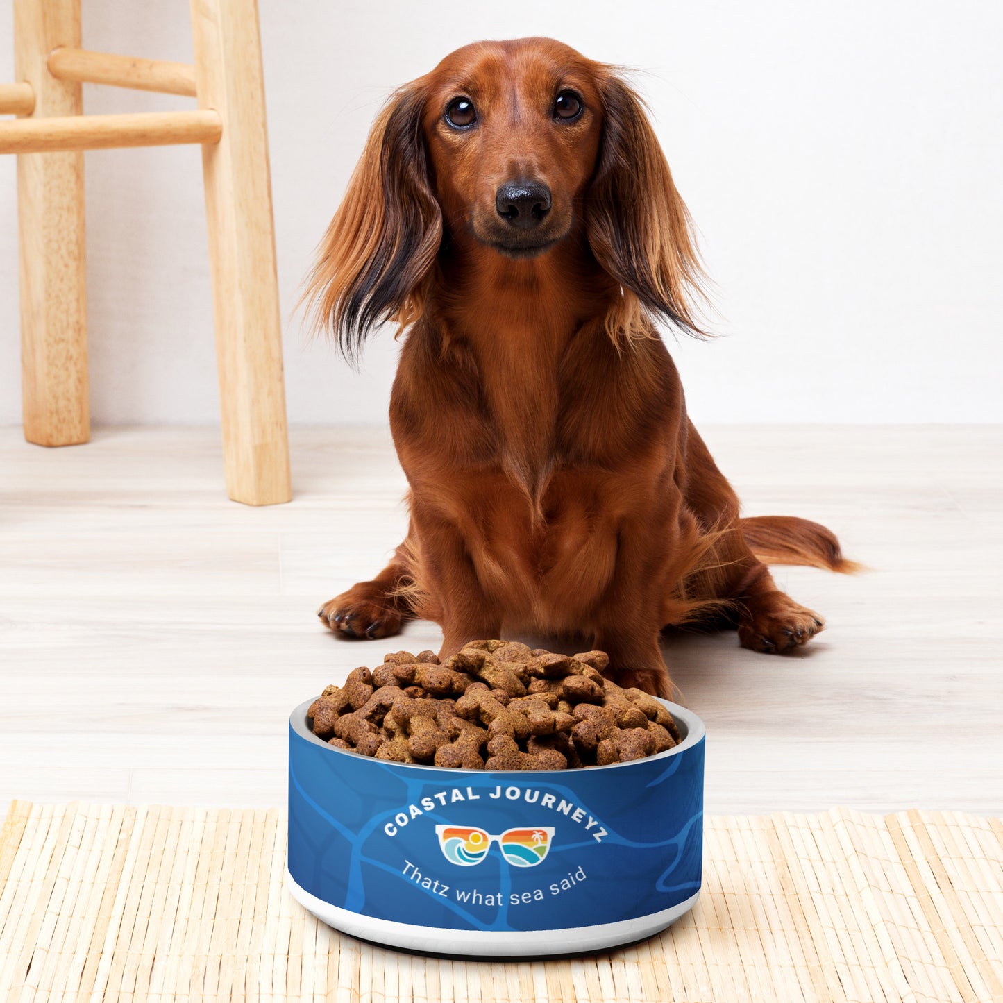 Ocean Blue Pet Bowl